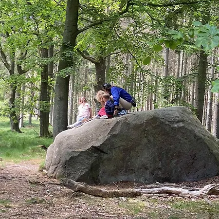 アパート At Solgaarden 1 In Arsdale スヴァネケ